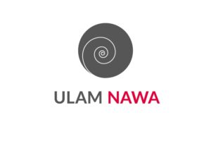 Call for applications for Ulam NAWA 2025 programme opens