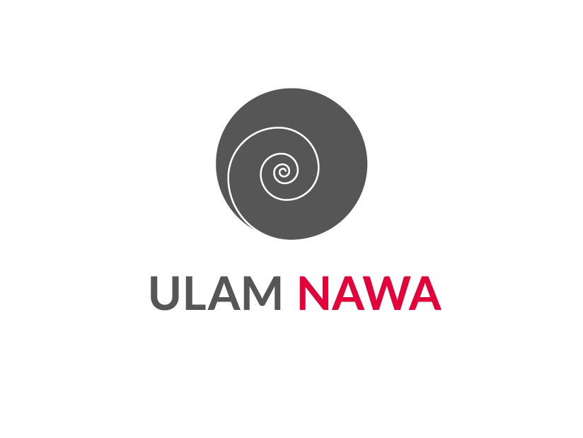 Call for applications for Ulam NAWA 2025 programme open…