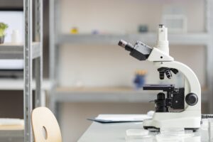 Scientists from Uniwersity of Gdańsk discover new species of parasite
