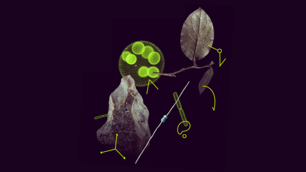 The MSCA Postdoctoral Fellowships 2025 Call Is Now Open!