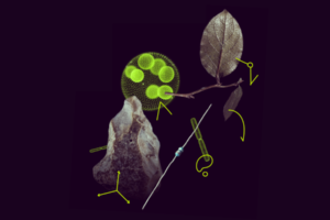 The MSCA Postdoctoral Fellowships 2025 Call Is Now Open!