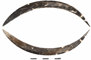 World’s Oldest Boomerang Discovered in Poland